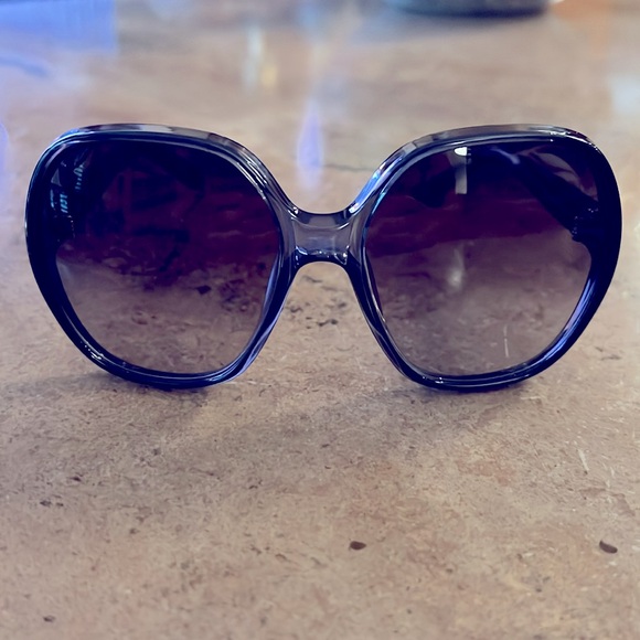 Chloe Grey Gradient Ladies Sunglasses CE718S00259 - Picture 2 of 3